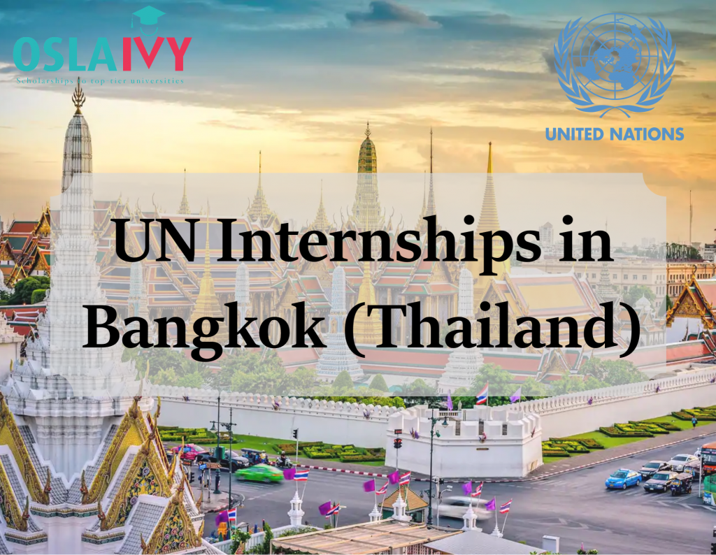 UN INTERNSHIPS