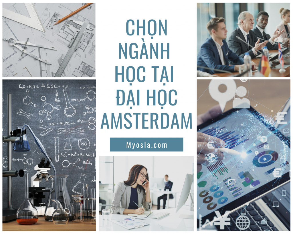Chọn ngành học tại đại học Amsterdam