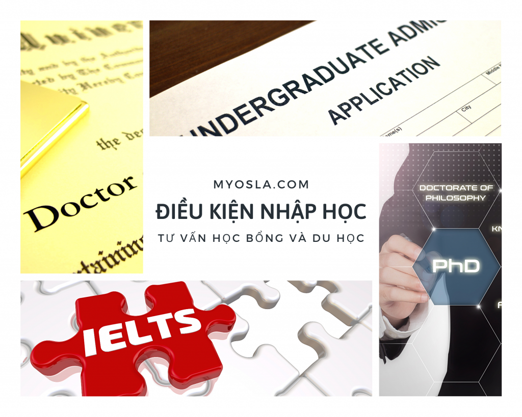 Điều kiện cơ bản để nhập học PhD ở Đại Học Auckland