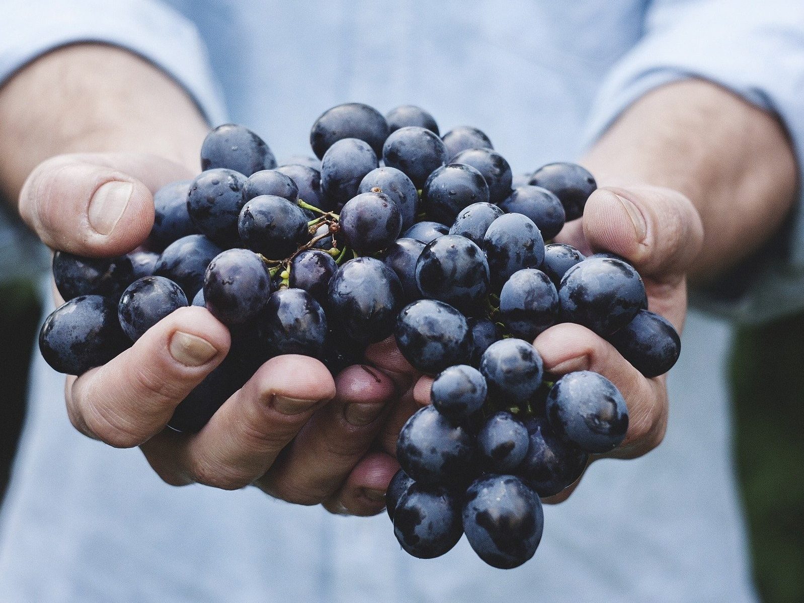 việc làm thêm thời vụ