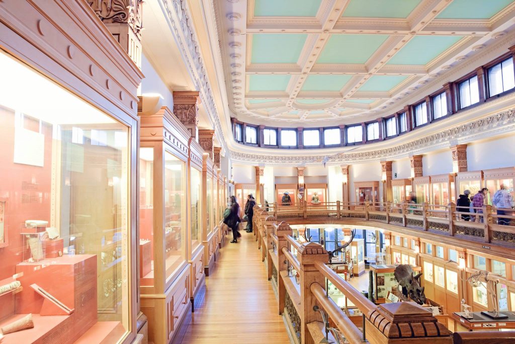 Đại học McGill - Một trong những đại học top đầu tỉnh bang Québec 2022