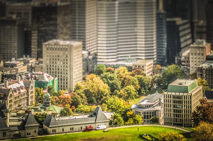 Đại học McGill - Một trong những đại học top đầu tỉnh bang Québec 2022