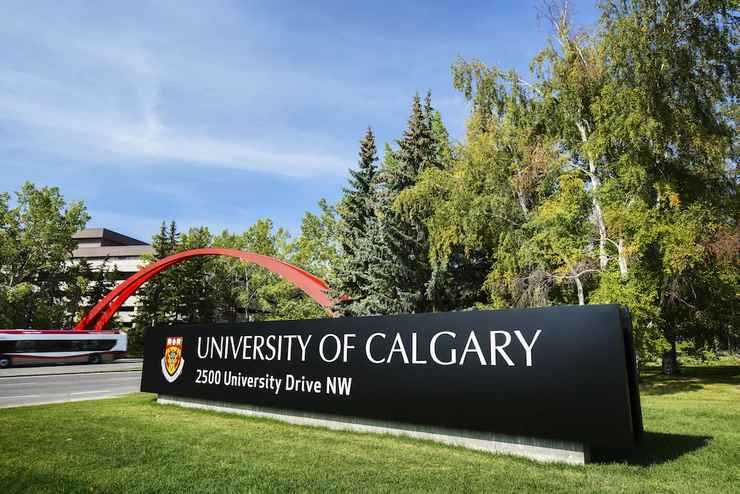 Học ngành Quan hệ Quốc tế ở Đại học Calgary