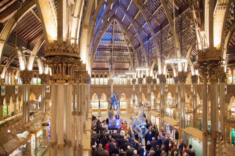 hoc bong jardine tai dai hoc oxford