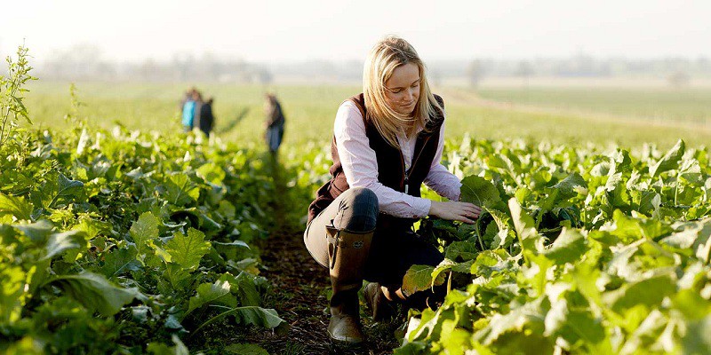 Ngành Khoa học nông nghiệp và lâm nghiệp thuộc nhóm các ngành hot trong tương lai