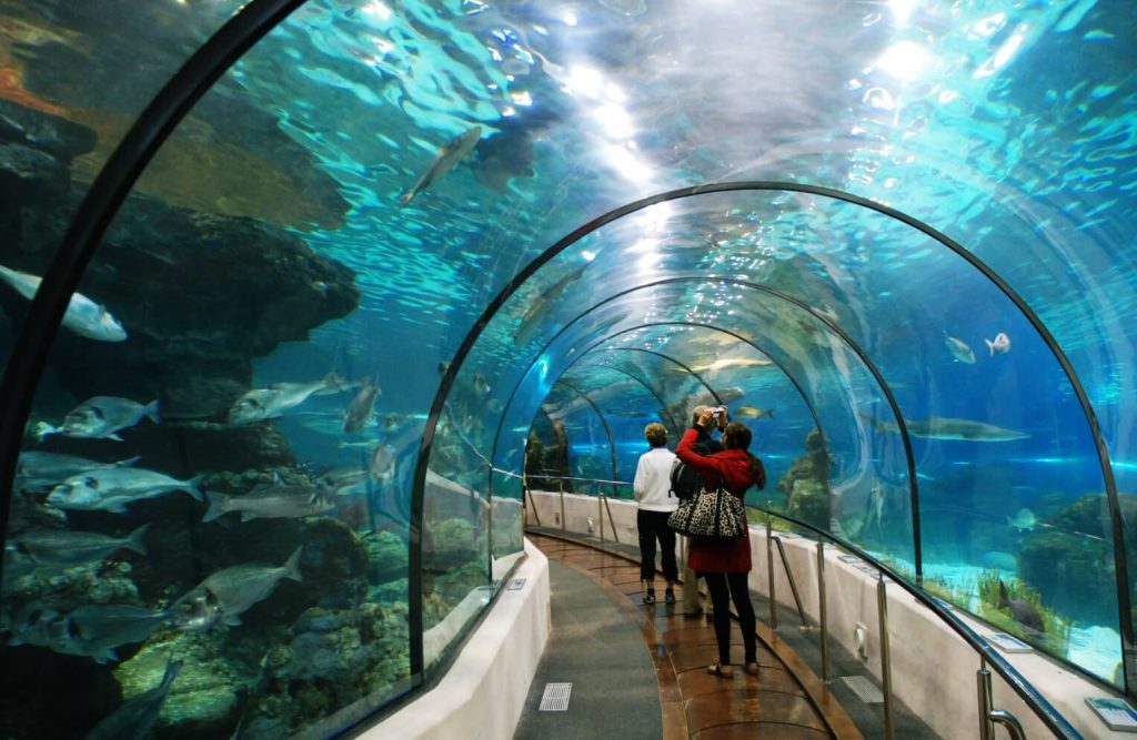 Đôi nét về Québec city – Lựa chọn lý tưởng cho du học sinh 2022