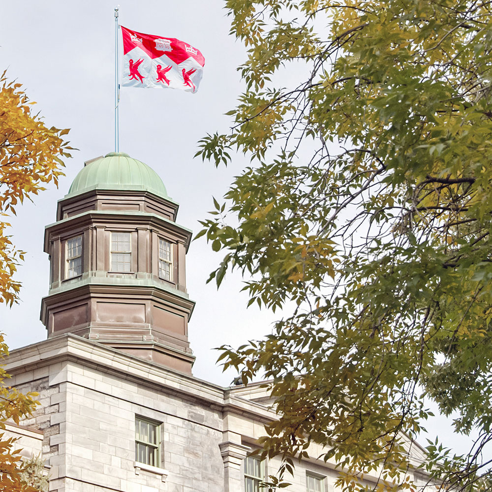 Đại học McGill - Một trong những đại học top đầu tỉnh bang Québec 2022