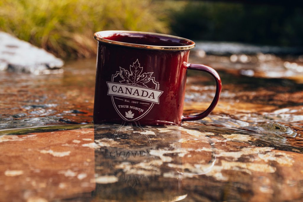 Các nước khuyến khích nhập cư