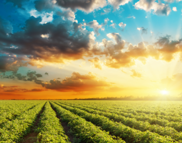 DU HỌC HÀ LAN: TOP 6 NGÀNH HỌC TIỀM NĂNG TẠI HÀ LAN NĂM 2021