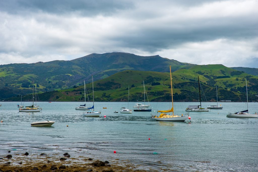 Đánh cá cùng là một ngành kinh tế chính ở New Zealand
