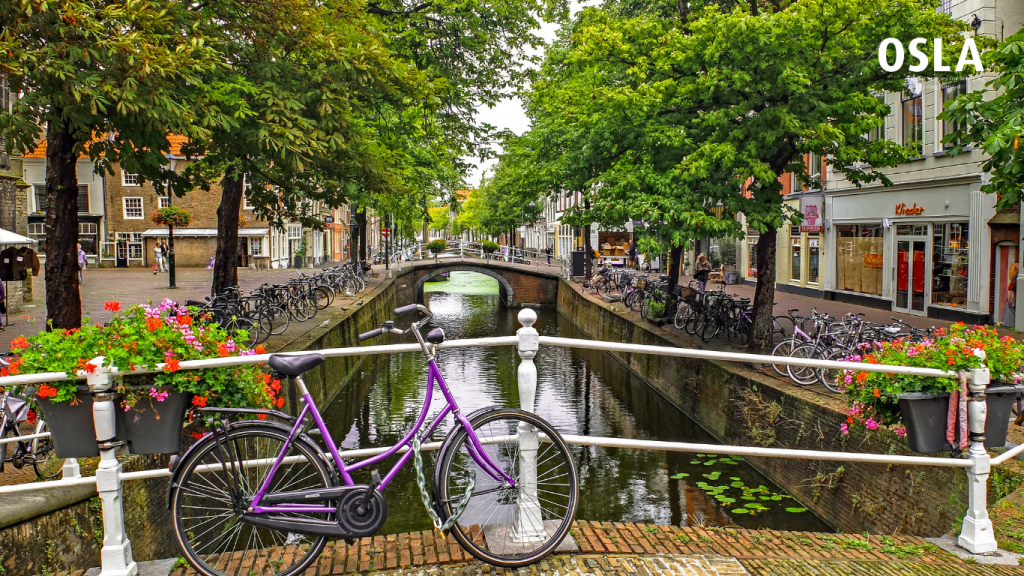 Thông tin học bổng Hà Lan năm 2022