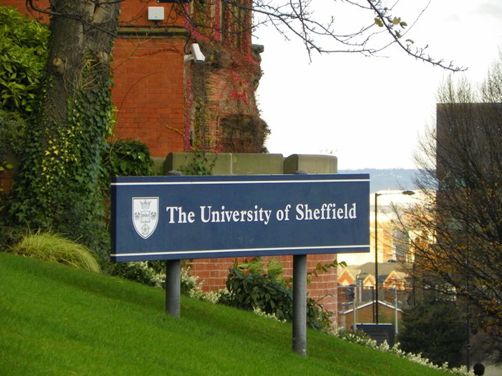 dai hoc sheffield