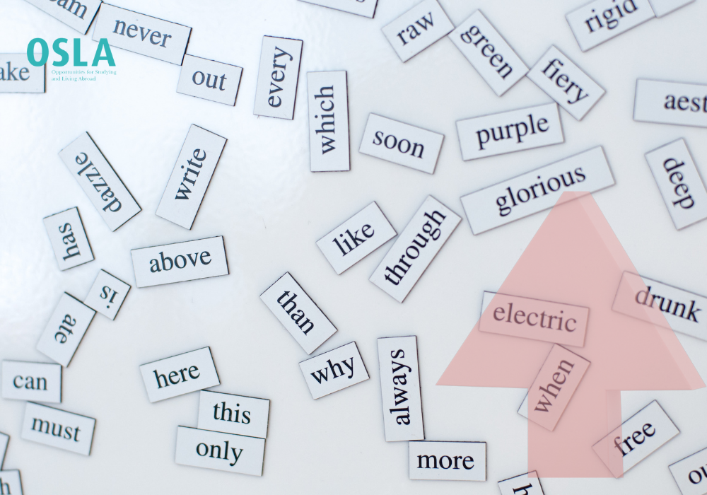 Phát triển vốn từ vựng