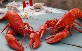 Văn Hóa, Lễ Hội Và Ẩm Thực Canada - Tin Tức Mới Và Đặc Sắc Nhất