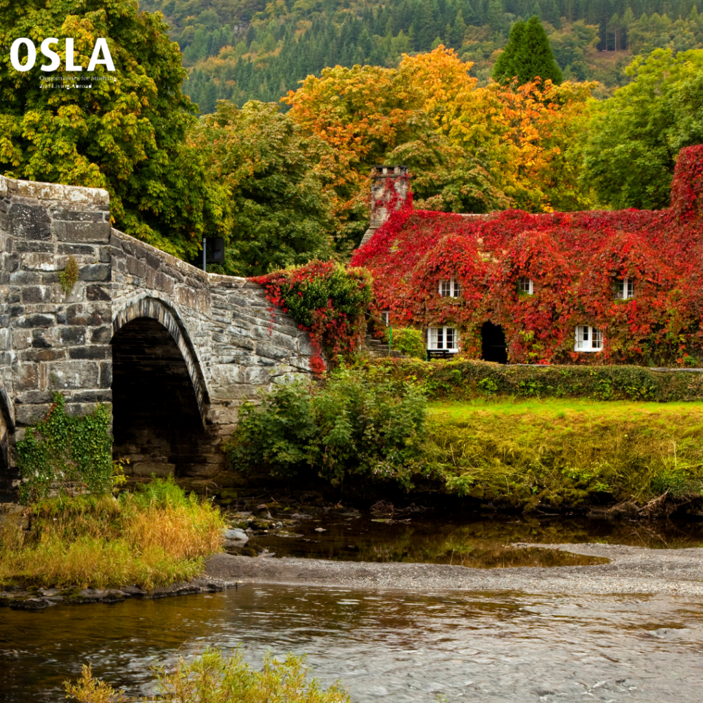 [DU HỌC ANH]: NÊN CHỌN VÙNG NÀO 2022?