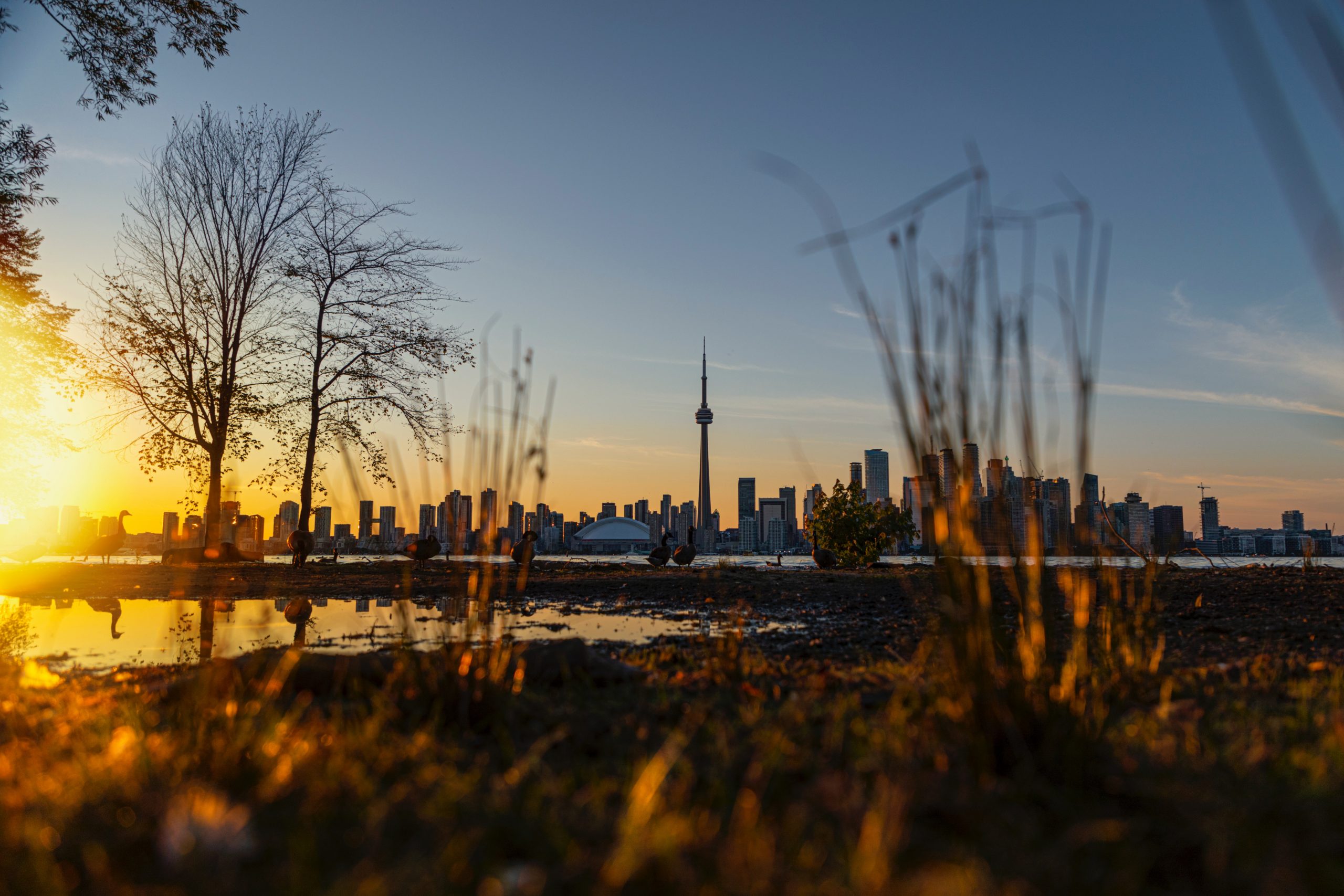 Những ngành nghề có triển vọng trong tương lai tại Canada