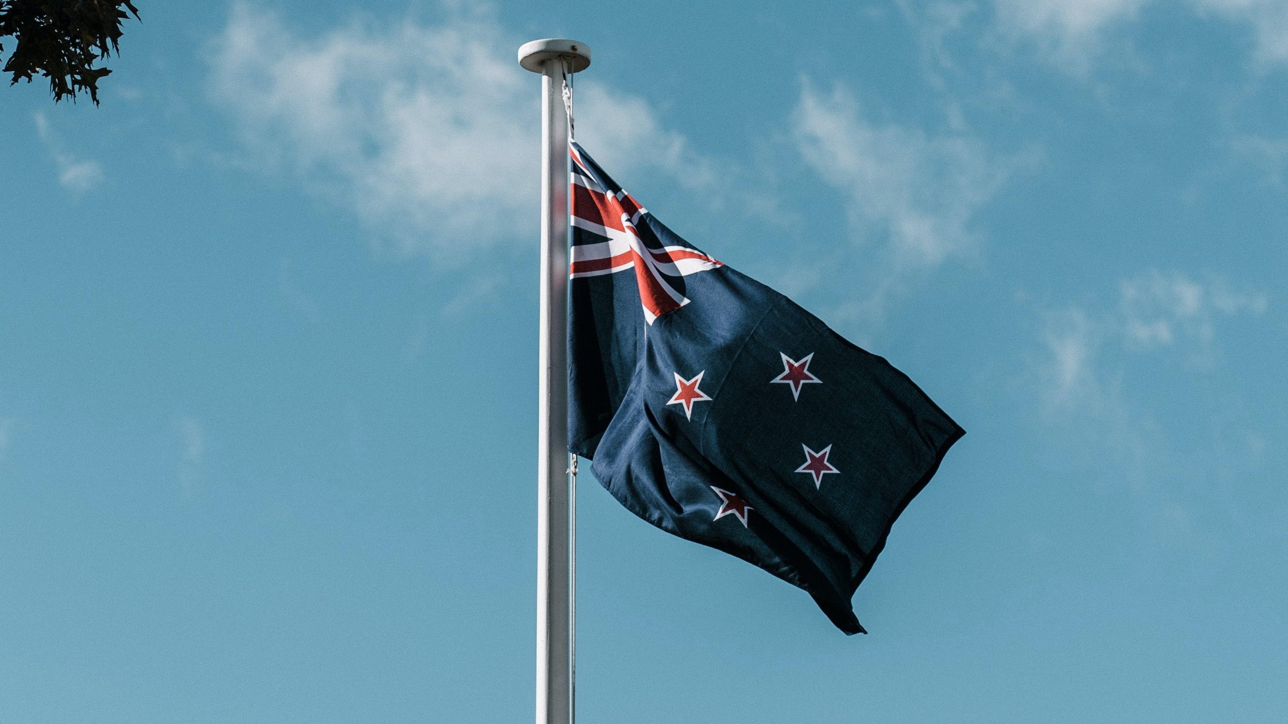 pexels-dan-whitfield-2030683