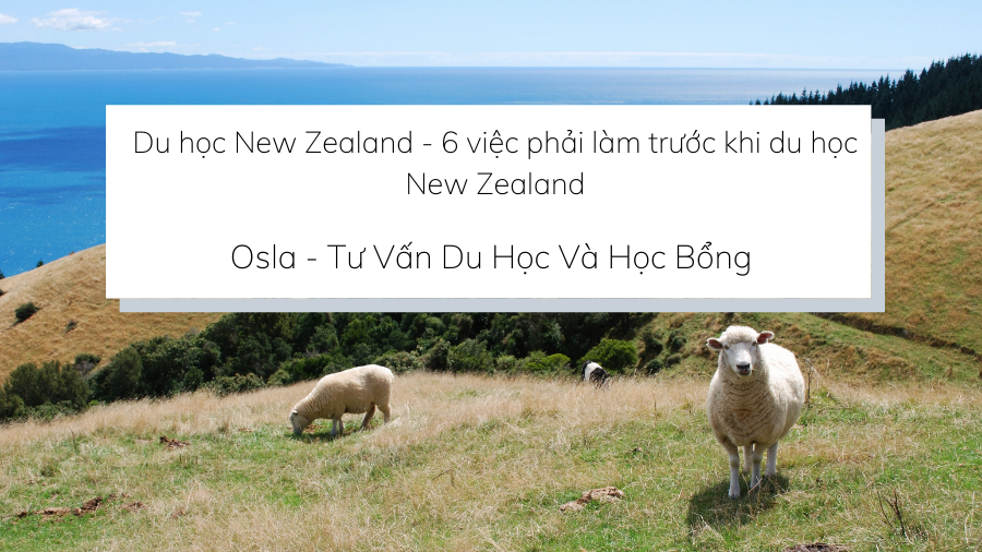 Du học Canada, điểm đến không thể bỏ qua năm 2022